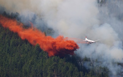 Aircraft Fighting Forest Fire